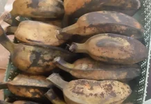Pisang Rebus Pilihan Sehat untuk Diet