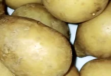Kentang Rebus Sehat dan Bernutrisi