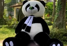 Inilah Alasannya Anak-anak hingga Dewasa Menyukai Boneka