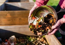 Cara Pengolahan Compost Tea dari Kompos Komunal Tanaman