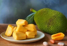 Olah Biji Nangka Jadi Tepung, Solusi Pangan Lokal Kaya Serat