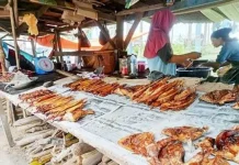 Berkunjung ke Sentra Ikan Asap Kaur di Jalinbar Desa Tanjung Pandan