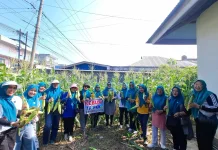 TP PKK Kabupaten Bengkulu Selatan Ajak Masyarakat Manfaat Pekarangan