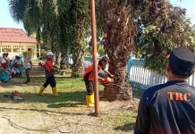 Cegah Potensi Bahaya, BPBD Bengkulu Selatan Evakuasi Pohon di Lingkungan Sekolah