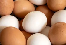 Wabah Salmonella Mengguncang AS: Jutaan Lusin Telur Ditarik dari Pasaran