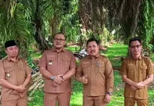 Pemkab Bengkulu Selatan Siapkan Lahan 9 Hektare Untuk Percontohan Pertanian