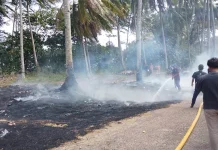 Damkar Kaur Imbau Masyarakat Waspadai Kebakaran Lahan saat Musim Kemarau