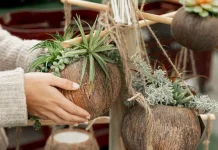 Peluang Usaha Kerajinan Pot Sabut Kelapa dan Kiat Suksesnya