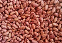 Atasi Masalah Pencernaan: Konsumsi Kacang Merah