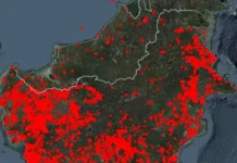 Musim Kemarau, BPBD Imbau Masyarakat Waspadai Ancaman Karhutla