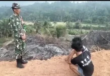 Babinsa Koramil Kaur tengah Sosialisasi Bahaya Karhutla