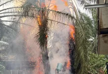 Bakar Sampah saat Kemarau, Api Nyaris Jalar ke Permukiman Jalan Batang Hari