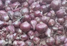 Masakan Lebih Beraraoma: Bawang Bombai VS Bawang Merah