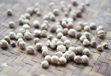 Keajaiban Kapulaga: Rempah Aromatik dengan Beragam Manfaat Kesehatan