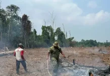Babinsa Koramil Kaur Tengah Patroli Karhutla