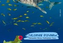 Wisata Talisayan Derawan Kalimantan Timur
