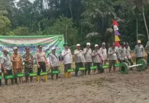 Babinsa Koramil Manna Hadiri Gerakan Tanam Padi Serentak