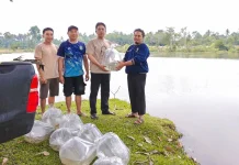 Desa Jeranglah Rendah Terima 5.000 Benih Ikan Tawes dari Dinas Perikanan