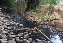 Sungai Kelam di Kaur, Alami Pendangkalan akibat Kemarau