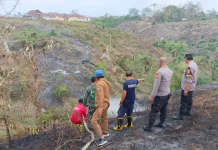 Polres Kaur Gerak Cepat Padamkan Kebakaran Lahan di Padang Petron