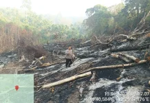 Masih Ditemukan Pembukaan Lahan Dibakar, Polres Kaur Ingatkan Waspada Karhutla