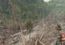 Anggota Koramil Kaur Tengah Patroli Sisa Karhutla