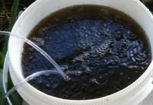 Cara Pengolahan Sampah Dapur Menjadi Pupuk Kompos Cair