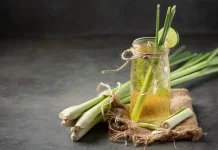 Manfaat dan Cara Pengolahan Batang Serai Menjadi Minuman Sehat