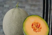 Melon Buah Segar Kaya Manfaat