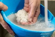 Langkah Praktis Racik Nutrisi Alami Tanaman dari Limbah Dapur