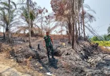 Babinsa Koramil Pino Patroli Kebakaran Lahan