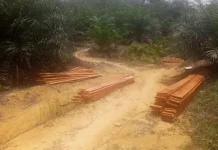 Babinsa Koramil Kaur Utara Monitoring Pembangunan Jembatan Gantung