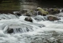 Langkah Praktis Ciptakan Ekosistem Sungai Pemukiman yang Bersih