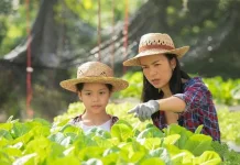 Kiat Membentuk Karakter Anak Melalui Aktivitas Berkebun
