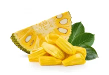 Pemanfaatan Tepung Biji Nangka untuk Kue