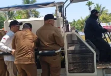 Bupati Bengkulu Selatan Panen Raya Padi Perkuat Seginim dan Air Nipis Lumbung Padi