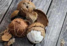 Langkah Praktis Olah Tempurung Kelapa Jadi Karbon Aktif Berkualitas