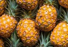 Pemanfaatan Serat Nanas untuk Bahan Komposit