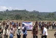 Babinsa Koramil Kaur tengah Hadiri Tanam Padi Serentak
