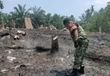 Babinsa Koramil Kaur Tengah Pantau Karhutla