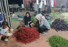 Cabai Rawit Tembus Rp95 Ribu, Belanja Warga Bengkulu Makin Tertekan