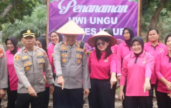 Polres Kaur Tanam Uwi Ungu Dukung Pangan