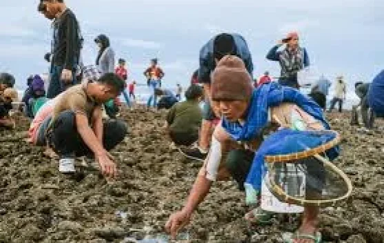 Mengenal Festival Bau Nyale 2026