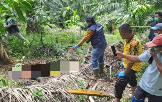 Warga Temukan Jenazah di Kebun Sawit Talang Marap
