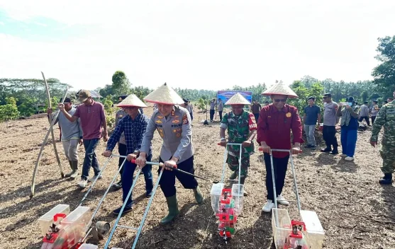 Polres Kaur Tanam Jagung Dukung Swasembada Nasional