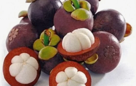 Khasiat Buah Manggis untuk Kesehatan