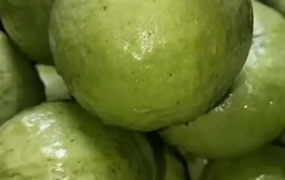 Manfaat Konsumsi Jambu Kristal