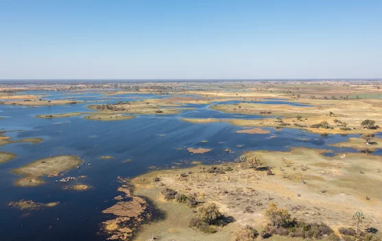 Menyingkap Pesona Luas Delta Okavango di Jantung Botswana