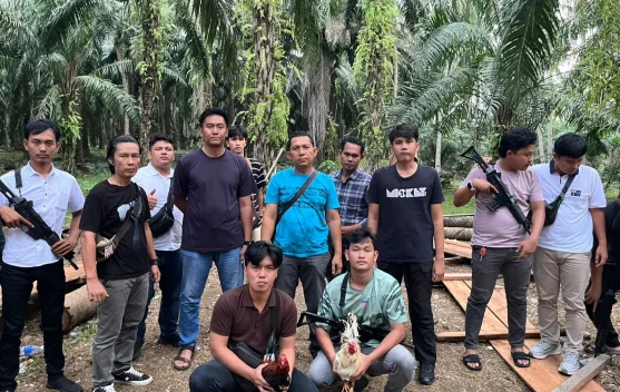Sat Reskrim Polres Kaur Gerebek Arena Judi Sabung Ayam di Wilayah Tanjung Kemuning