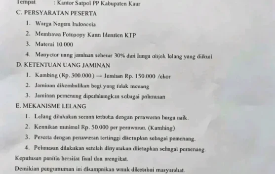 Satpol PP Kaur Kembali Gelar Lelang Hewan Ternak Hasil Operasi Penertiban
